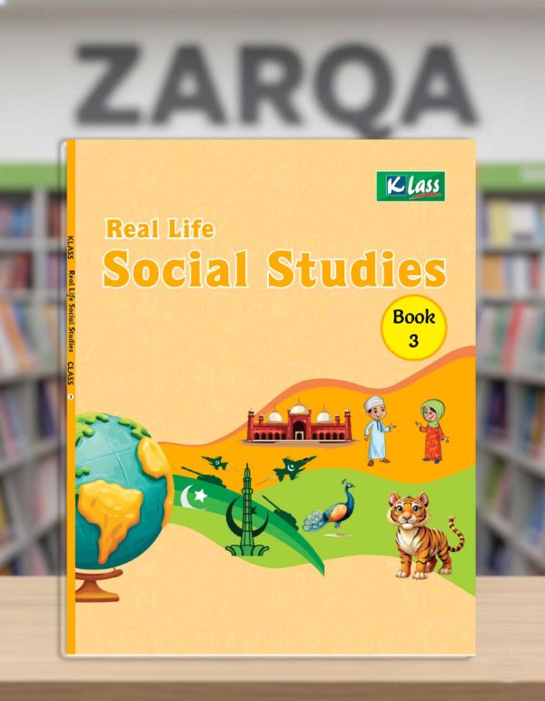 Real Life Social Studies (Book 3)